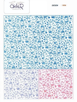 1036