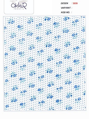 3039